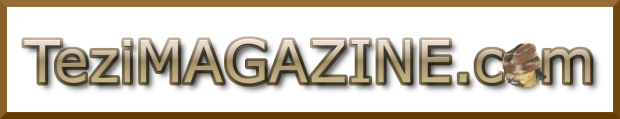 teziMAGAZINE, gold border, white 1068x206 