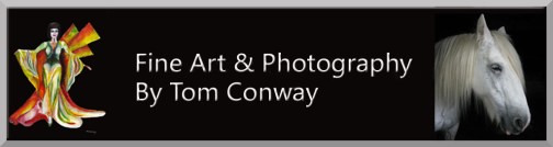 Tom Conway (Tezi Magazine Banner)